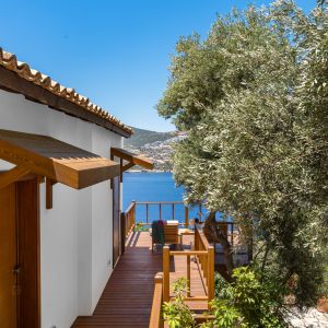 105 Moonlight Deluxe